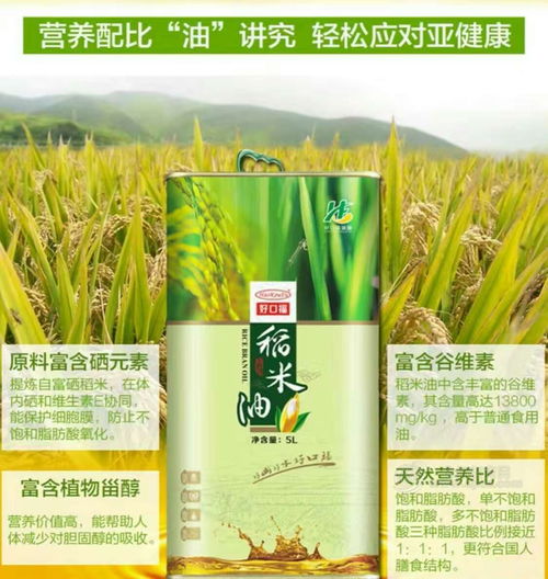 稻米油 批发价格 厂家 图片 食品招商网